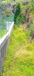 Plants: image 68 Of 208 Thumb